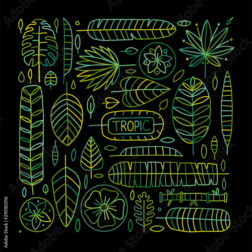 Tropical leaves background for your design