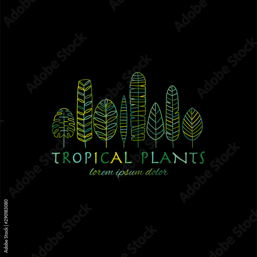 Tropical leaves background for your design