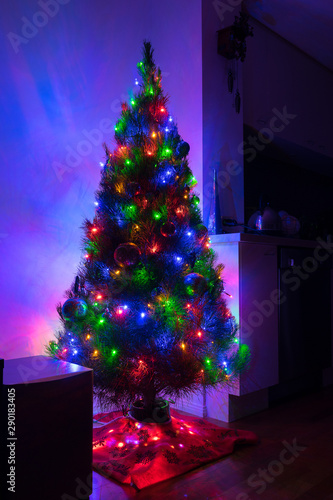 Illuminated decorated Christmas tree in a room