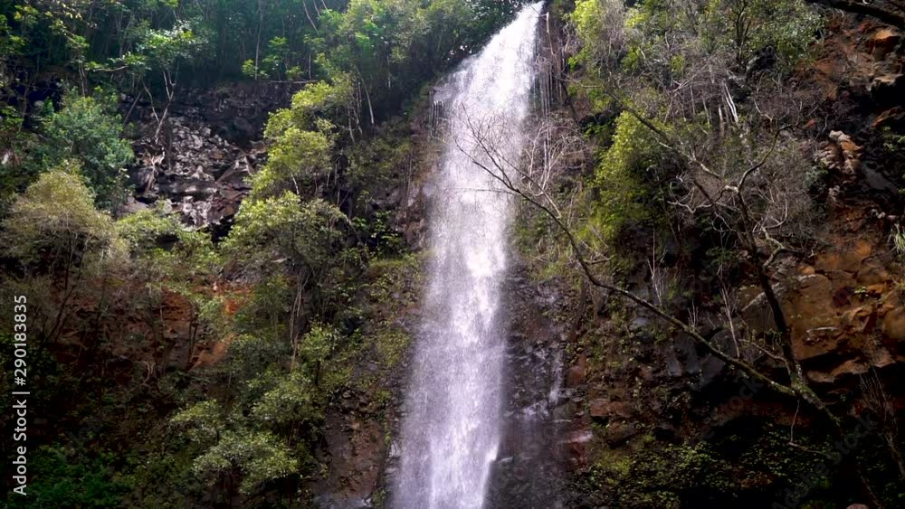 Hawaiian Waterfall in Dense Forest Vegetation Hawaiian Waterfall in Dense Forest Vegetation