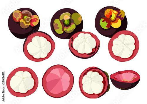 Mangosteen balls and Mangosteen half ball To eat Beautiful color on white background  illustration vector