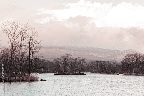 Onuma Koen Quasi -National park lake in peaceful cold winter with leafless tree. Hakodate, Hokkaido - Japan photo