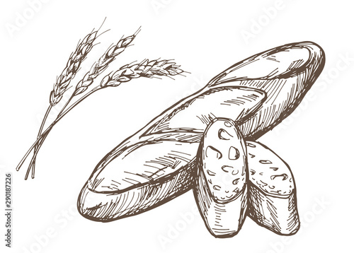 Hand drawn illustration material: French bread