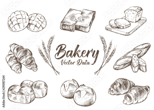 Hand drawn illustration material: bread, bakery set, collection
