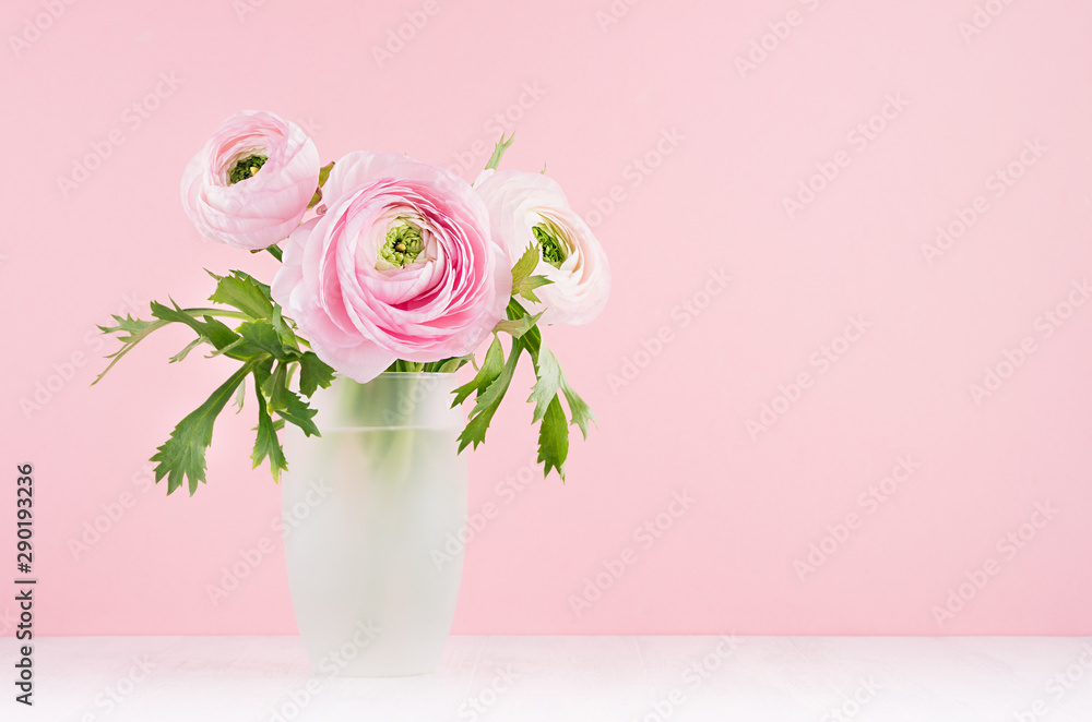 Summer pink decor for home with buttercup flowers - pastel bouquet in exquisite glass vase on white wood table, soft light background.