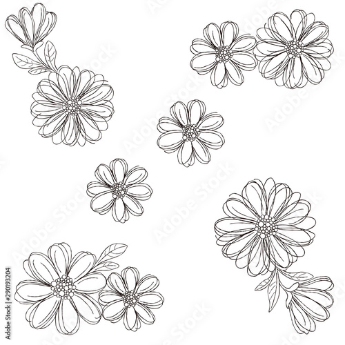 デイジー　線画