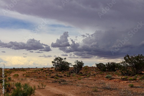 Northern Arizona before a monsoon storm