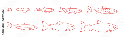 Life cycle of the Atlantic Salmon. Stages of salmon fish growth set. Coho fish from egg to fry. Sockeye aquaculture animation progression. Outline contour red line.