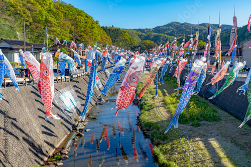 珠洲市 大谷川鯉のぼりフェスティバル