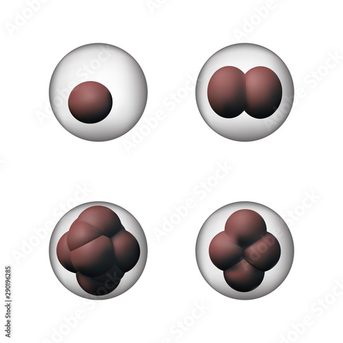 Set of biology cells.
