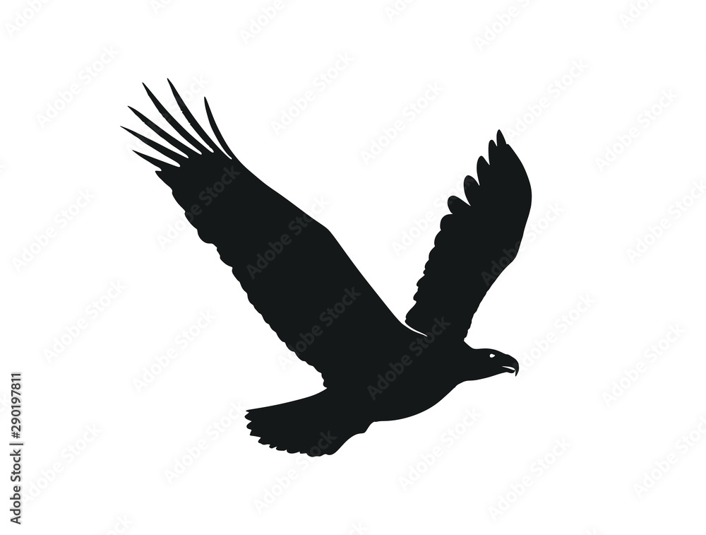 eagle in flight. isolated vector silhouette image of bird of prey eagle in flight. isolated vector silhouette image of bird of prey