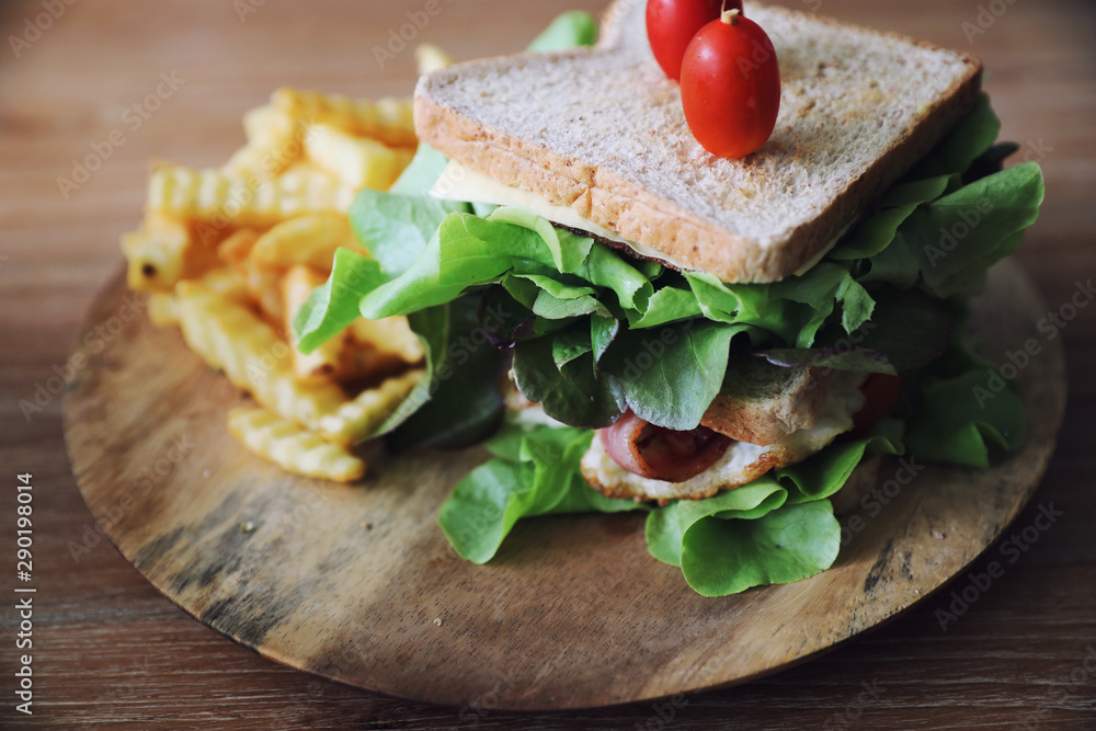 Obraz premium Club sandwich with ham, bacon, tomato, cheese, eggs and fried on wood background