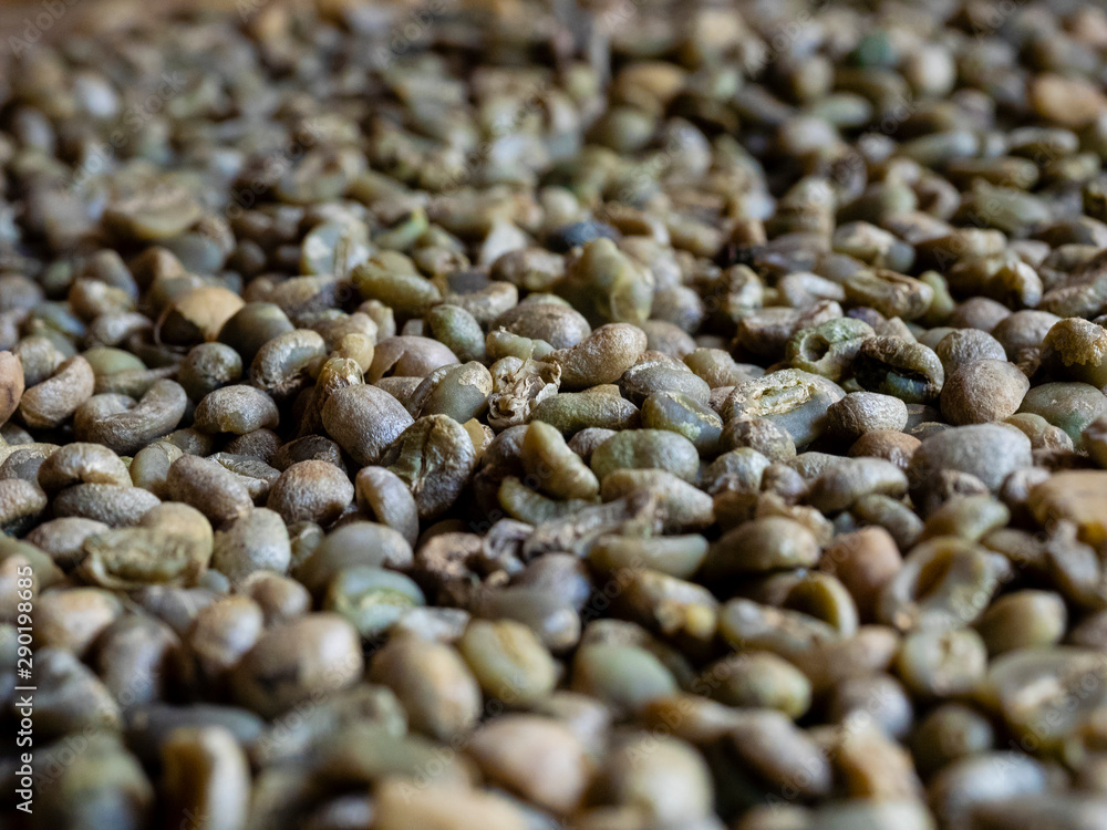 Digested Coffee Weasel Coffee (Kopi luwak in indonesia) or civet coffee, is coffee that ...