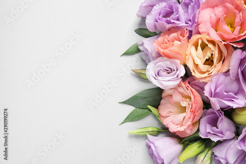 Beautiful Eustoma flowers on white background  top view. Space for text