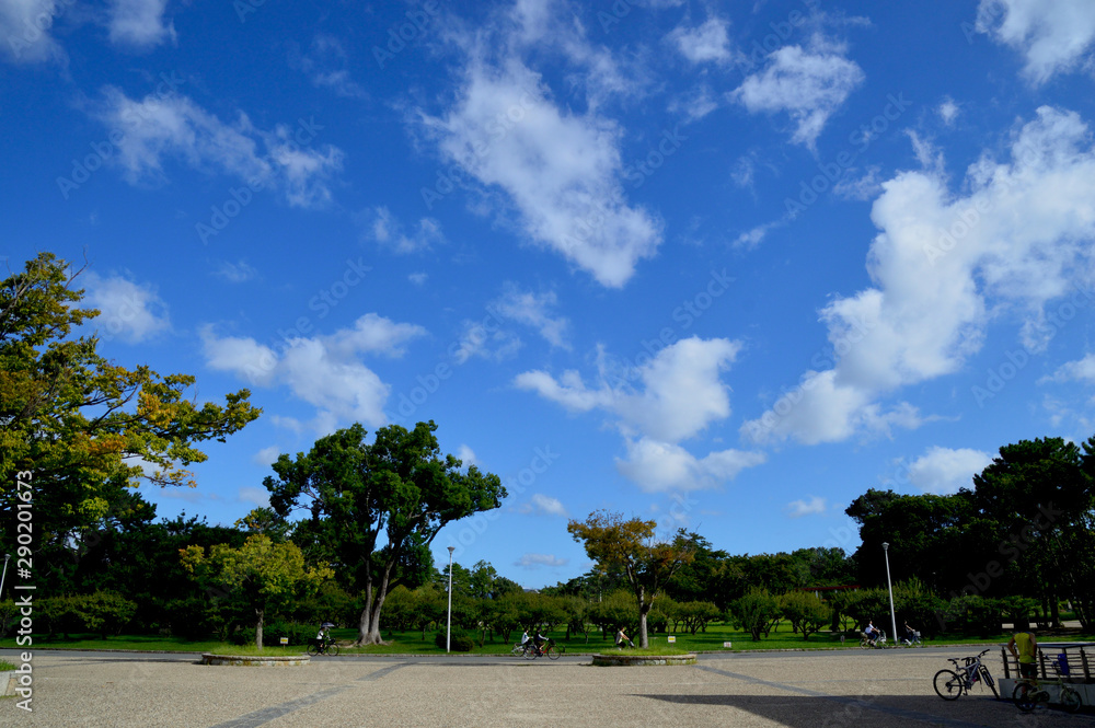Obraz premium 公園の上空に綿雲が浮かぶ青空が広がっている風景