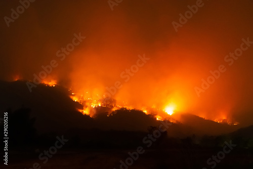 Amazon forest fire disater problem.Fire burns trees in the mountain at night.