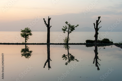 Wallpaper Mural 夜明けの空と水田の映り込み Torontodigital.ca