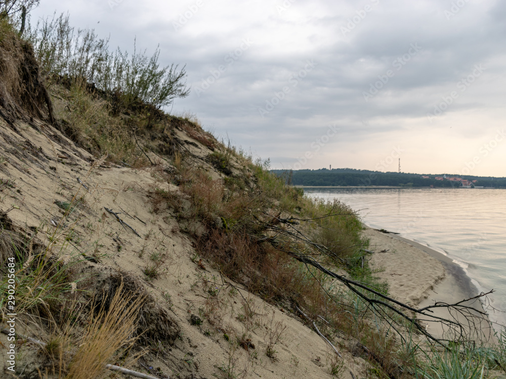 Obraz premium white dune sand, scanty plants, sand textures, beautiful blue skieslandscape with sand dune shore, Curonian Spit, Nida ,Lithuania. Baltic dunes, UNESCO heritage