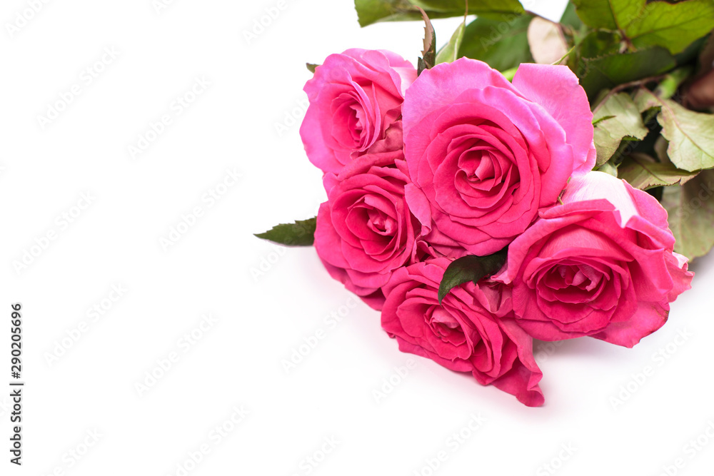 Fototapeta premium Beautiful rose flowers bunch isolated on white background