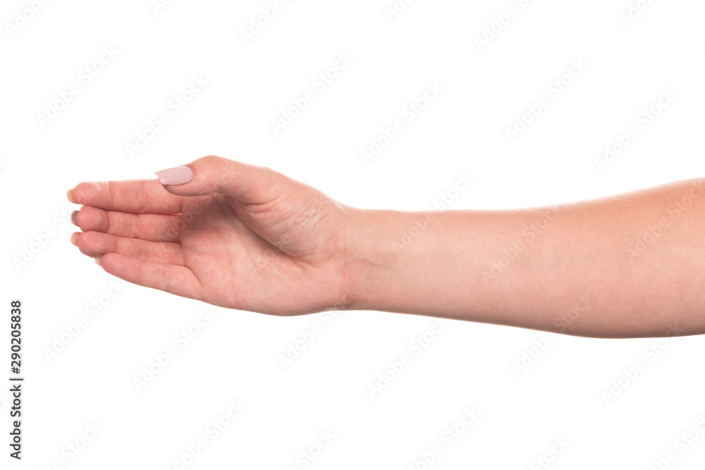 Hand of a young woman with beautiful manicure isolated on white background Hand of a young woman with beautiful manicure isolated on white background
