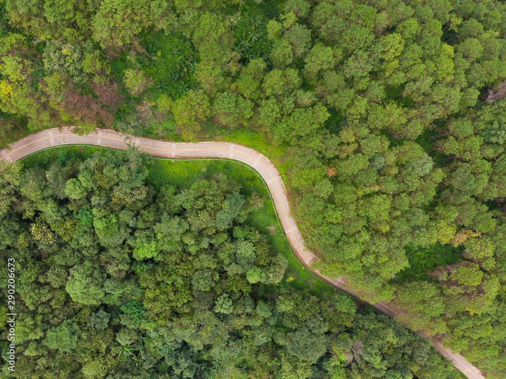 Aerial view of winding road with pine tree forest in mountain.Scenery Bird eye view of asphalt road landscape.High view from drone save drive transport and journey in countryside concept Aerial view of winding road with pine tree forest in mountain.Scenery Bird eye view of asphalt road landscape.High view from drone save drive transport and journey in countryside concept