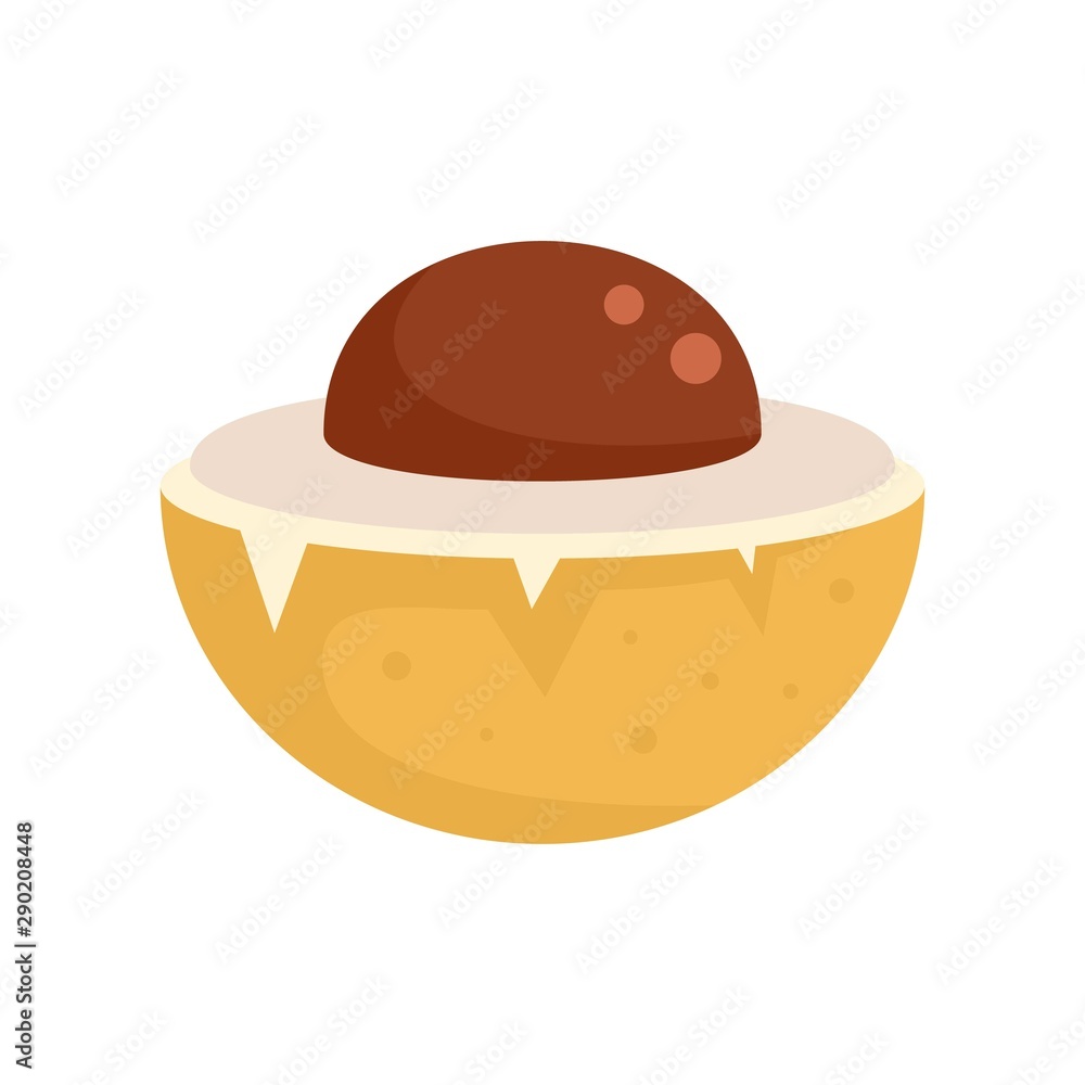 Half longan icon. Flat illustration of half longan vector icon for web design Half longan icon. Flat illustration of half longan vector icon for web design