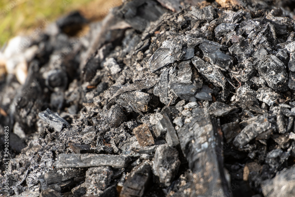 Details of charcoal burning on pit fire. Texture image Details of charcoal burning on pit fire. Texture image