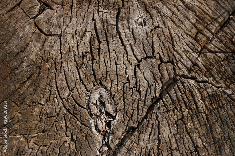 Old grunge dark textured wooden background Old grunge dark textured wooden background