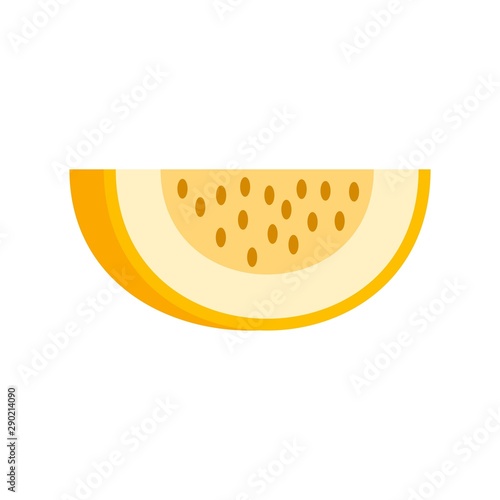 Piece of melon icon. Flat illustration of piece of melon vector icon for web design