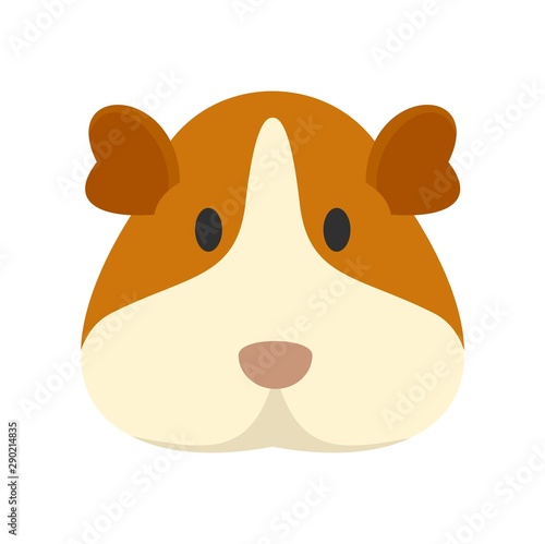 Cavy face icon. Flat illustration of cavy face vector icon for web design