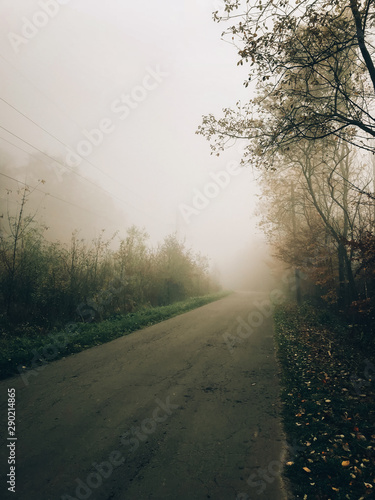 Autumn road in woods with fall leaves in foggy cold morning. Mist in autumn forest. Tranquil moment. Hello fall. Atmospheric mystical morning