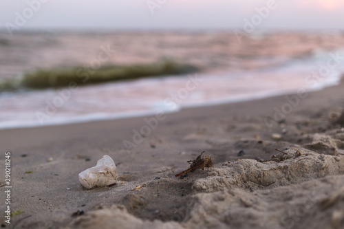 A small plastic cup on the seashore.