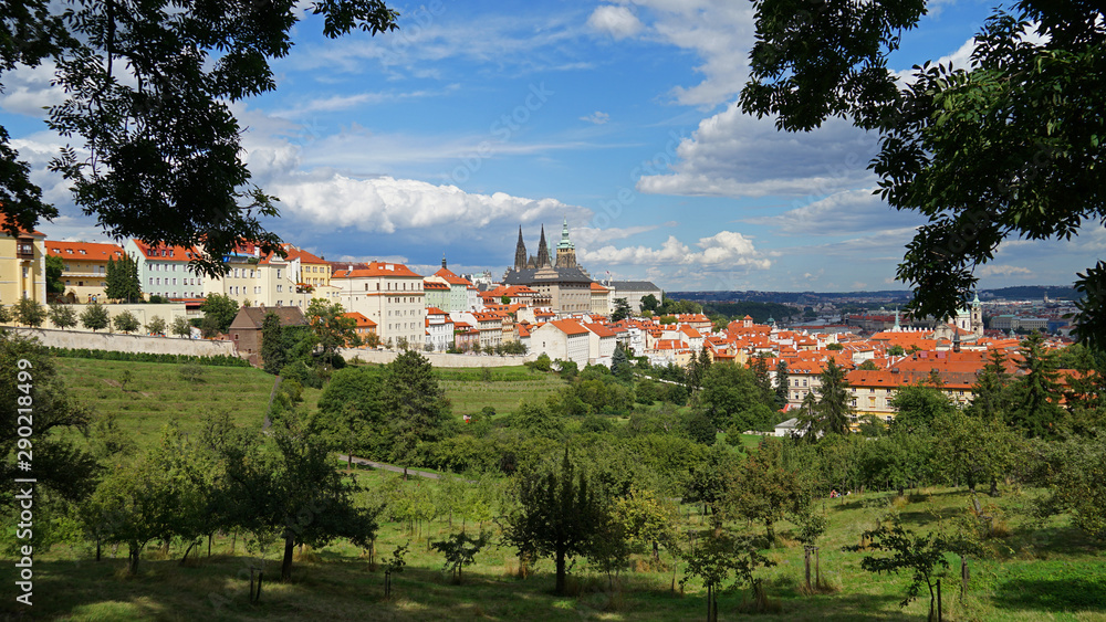 Prague Castle panorama view from fruit orchard, Czech Republic