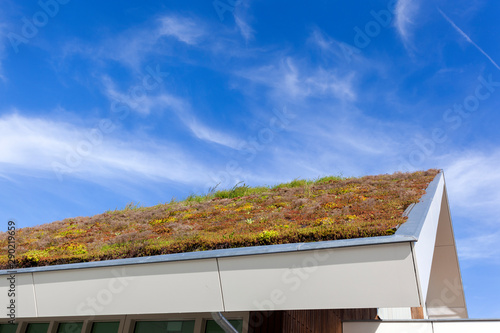 Ecological green roof in the Netherlands