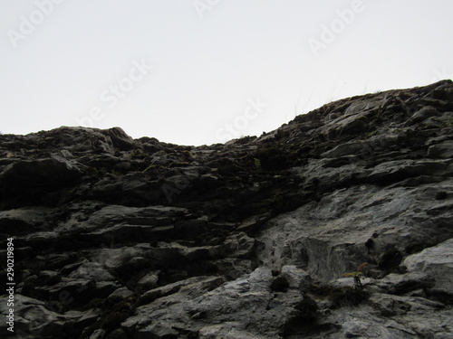 Rocky cliff in the morning misty autumn.