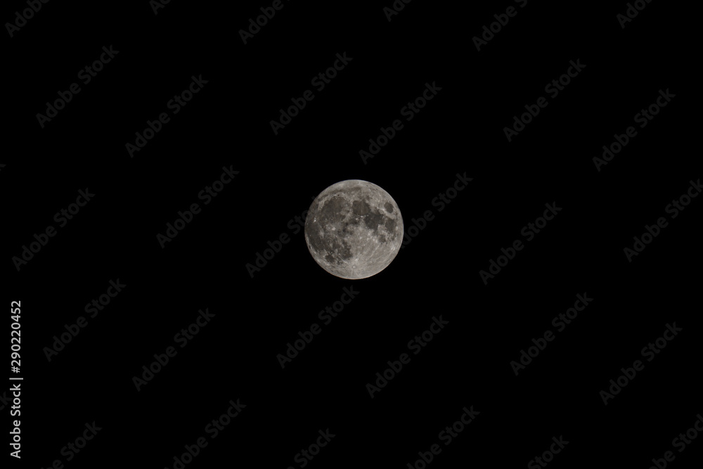 Fototapeta premium Full moon in black sky picture