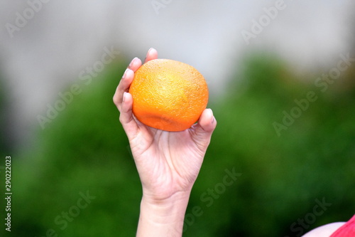 A Female Hand Holding Orange