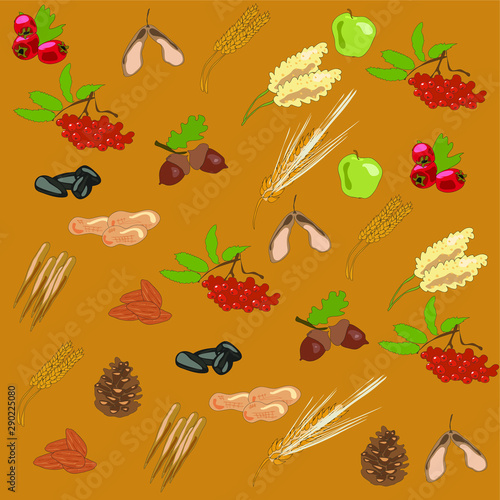 autumn rowanberry patternacornsthe seedscones