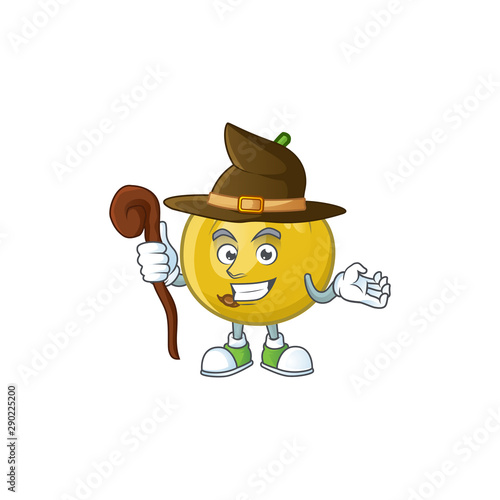Witch ripe araza cartoon with character mascot