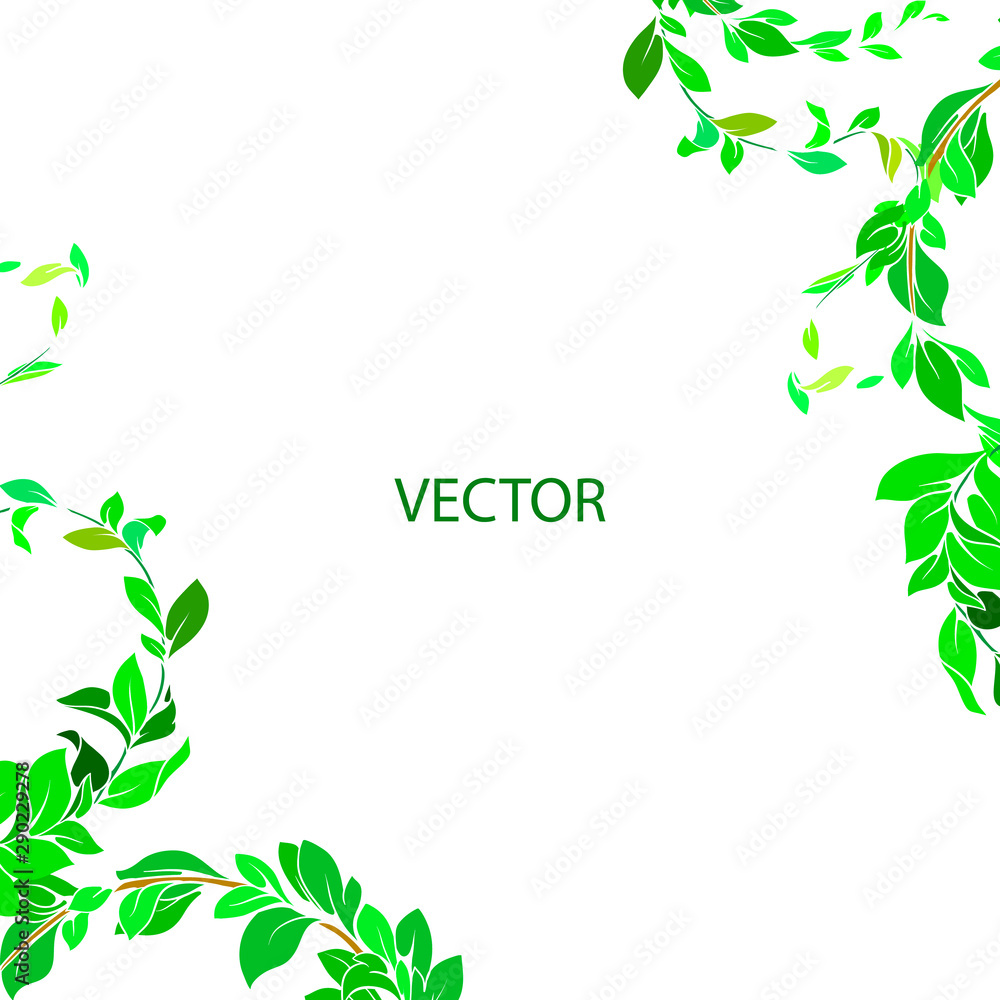 Obraz premium Background green branches with leaves. Vector decorative branch,