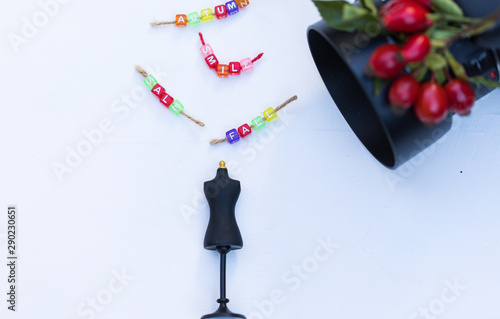 Bodyform and Colorful Text Decoration ‘Sale’, ‘Fall’, ‘Autumn’, ‘Smile’ are On White Wooden Desk. Modern Photo Camera and Seasonal Red Berries are Blur on the Right. Fall Creative Top View Flat Lay. photo