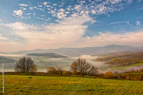 Amazing autumn morning in the Carpathian mountains