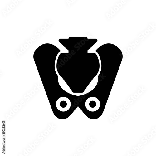 pelvis solid icon