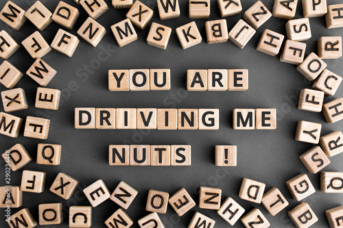 You are driving me nuts - phrase from wooden blocks with letters, to make someone very annoyed concept, random letters around, grey background