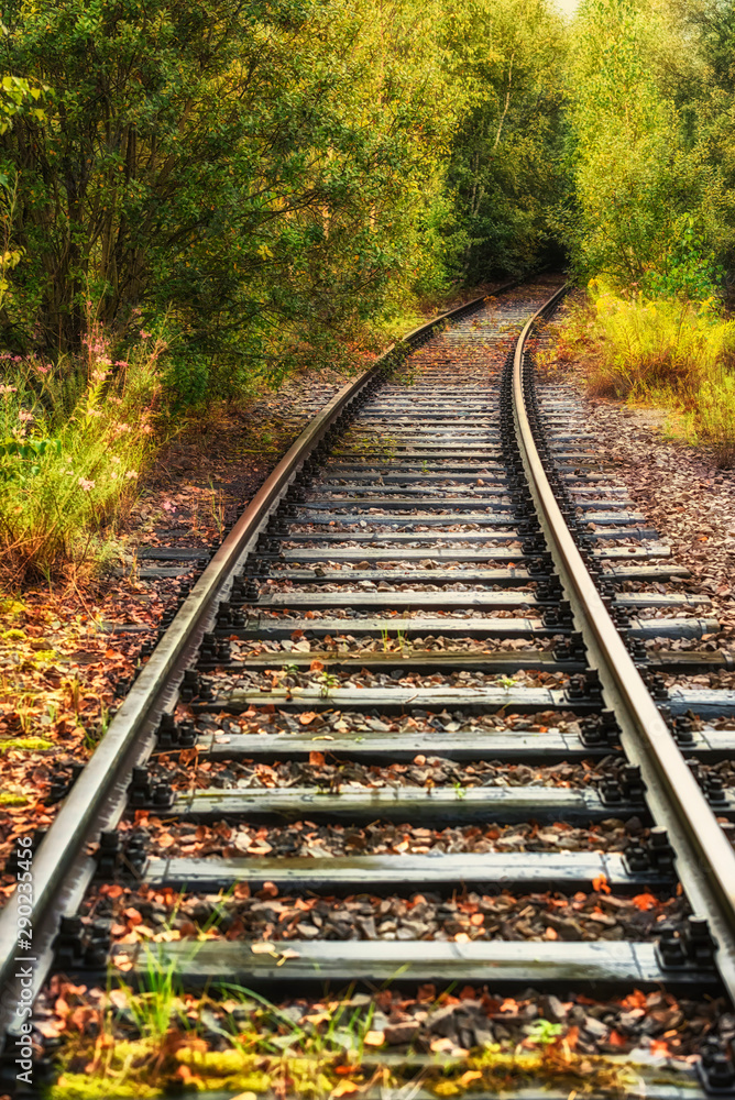 Fototapeta premium Bahnschienen im Herbst 815416