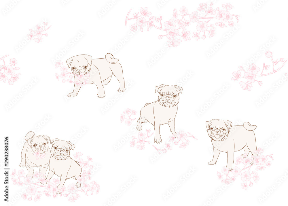 Obraz premium pug sakura patt 1