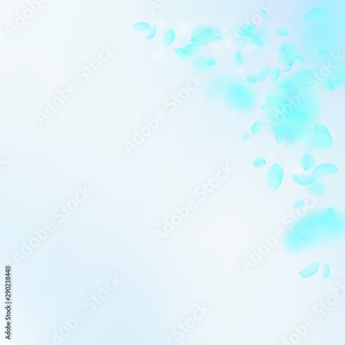 Turquoise flower petals falling down. Delicate rom