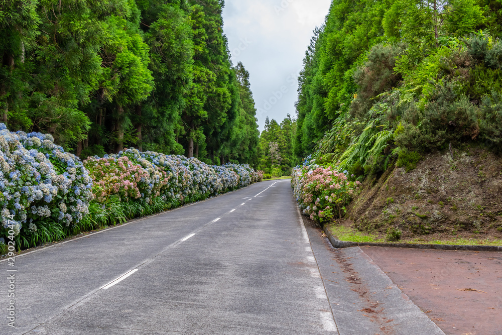 Typical landscape of the Seven Cities, Azores Typical landscape of the Seven Cities, Azores