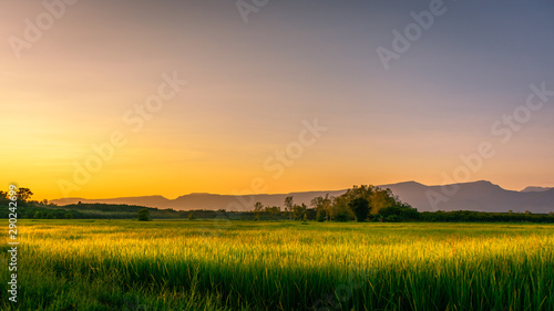 Scenic View Of Agricultural Field Against Sky During Sunset © Sitthipong