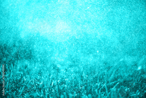 Abstract colorful toned grass in drops of dew. Bright grass and drops of morning fresh dew. Magic background. Alien mythical landscape of light blue.